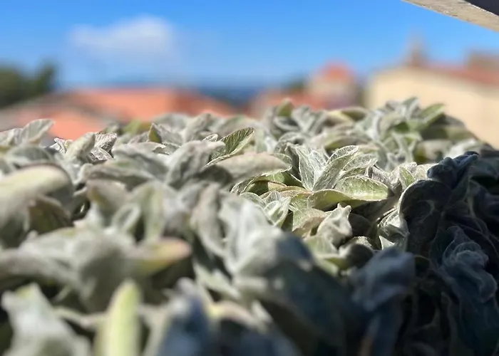 Sunset Apartman Makarska